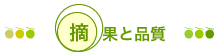 摘果と品質