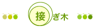 接ぎ木
