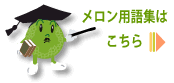 メロン用語集